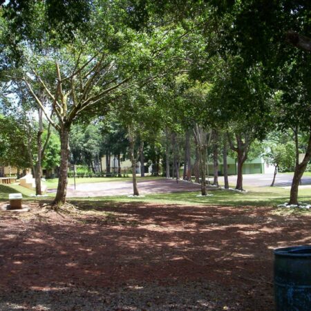 FOTOS DIACHE 096 FOTOS DIACHE 096